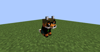 Xenia Foxes