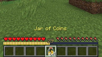 Experience Coins
