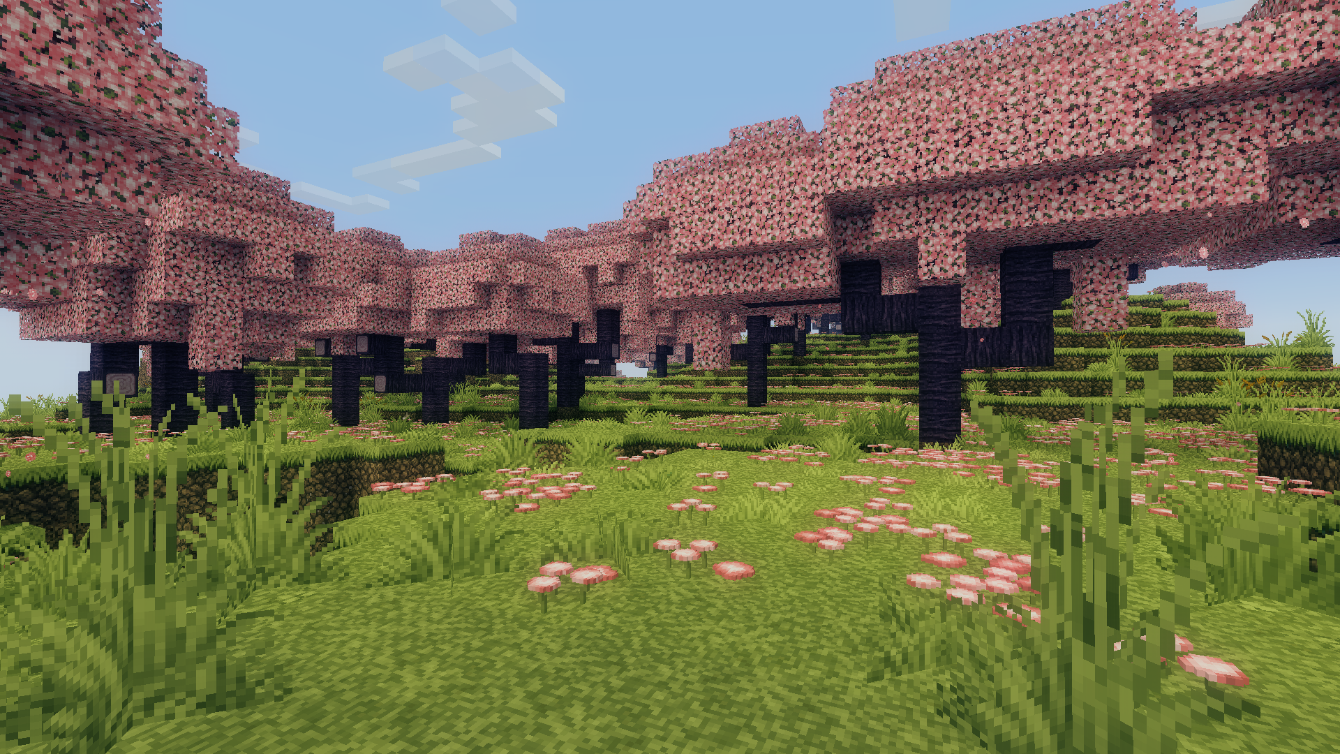 Cinematic Color Correction