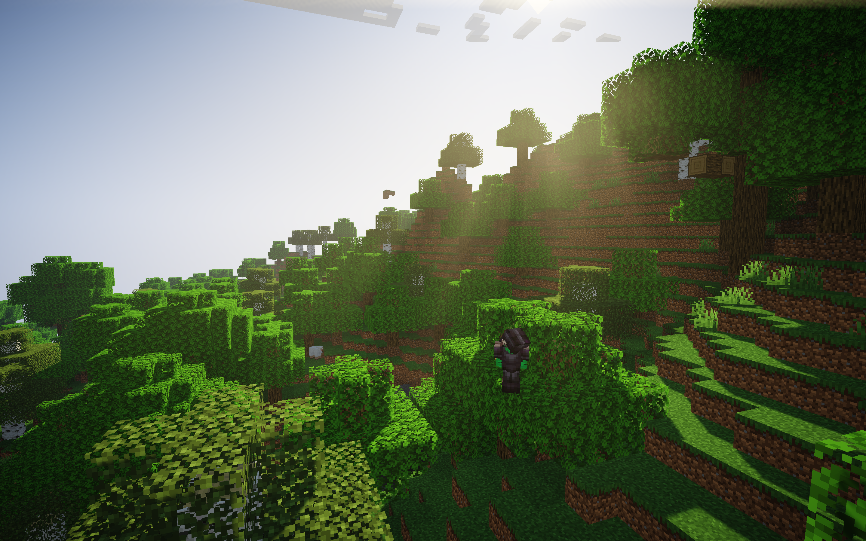 Галерея Easy Shader — Minecraft Шейдеры — MetaMods