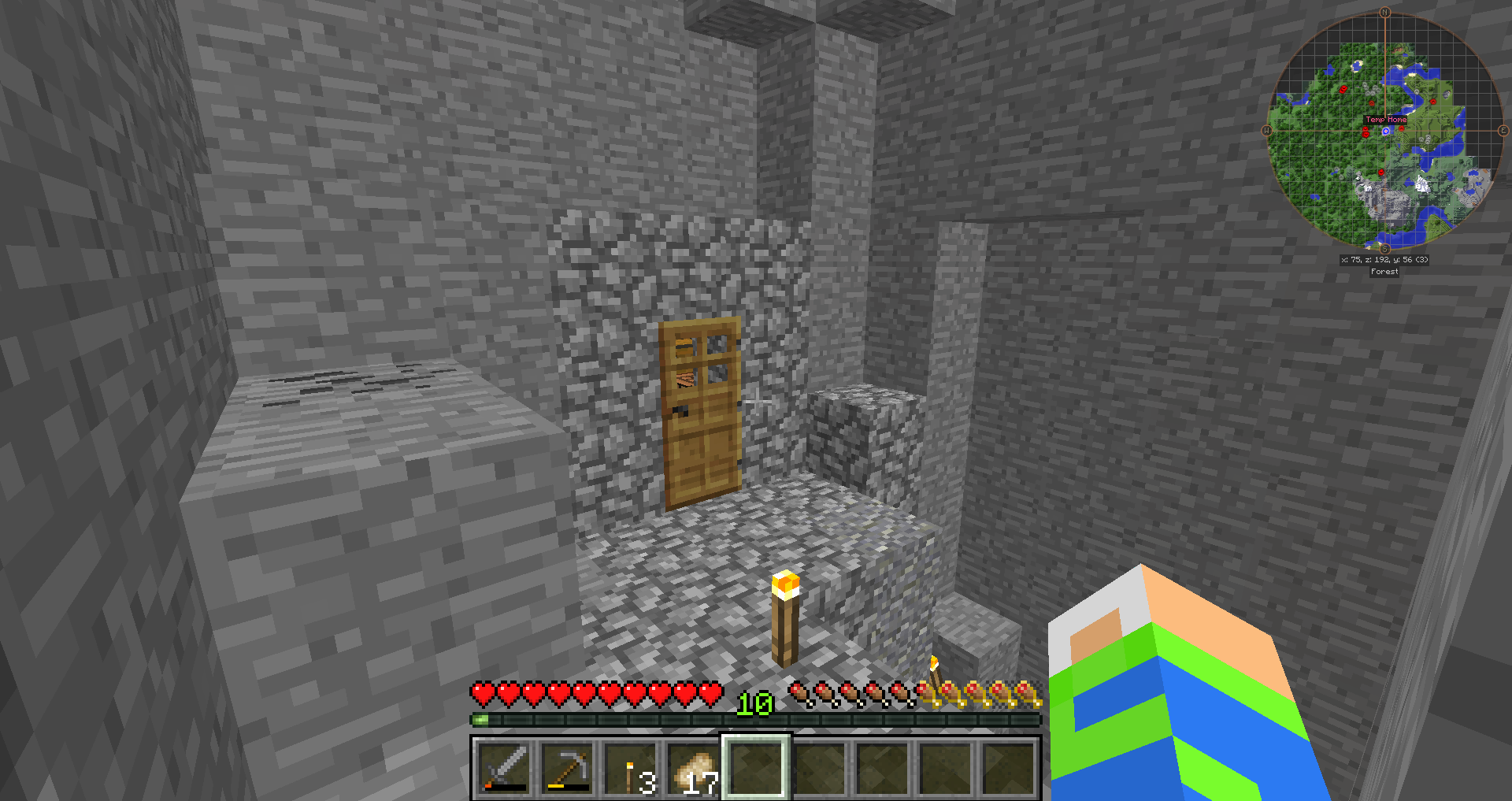 Firestar311's Lets Play World